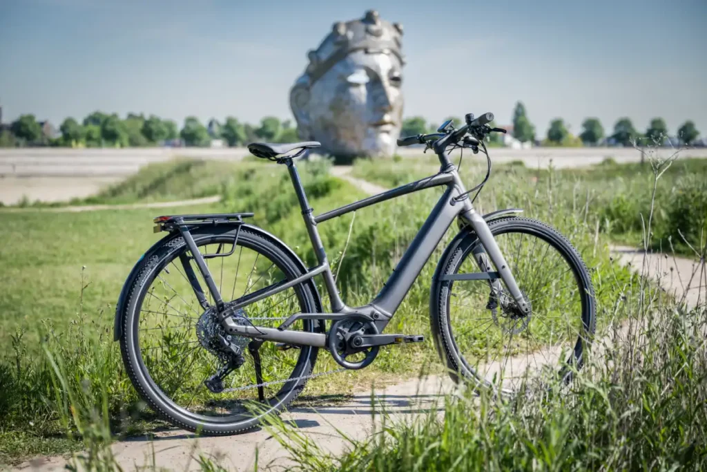 Zoevers Elektrische Sportfiets